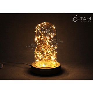 [CAO CẤP] Đèn ngủ nhà kính đèn Led đom đóm chụp thủy tinh trong suốt L-ĐB-04