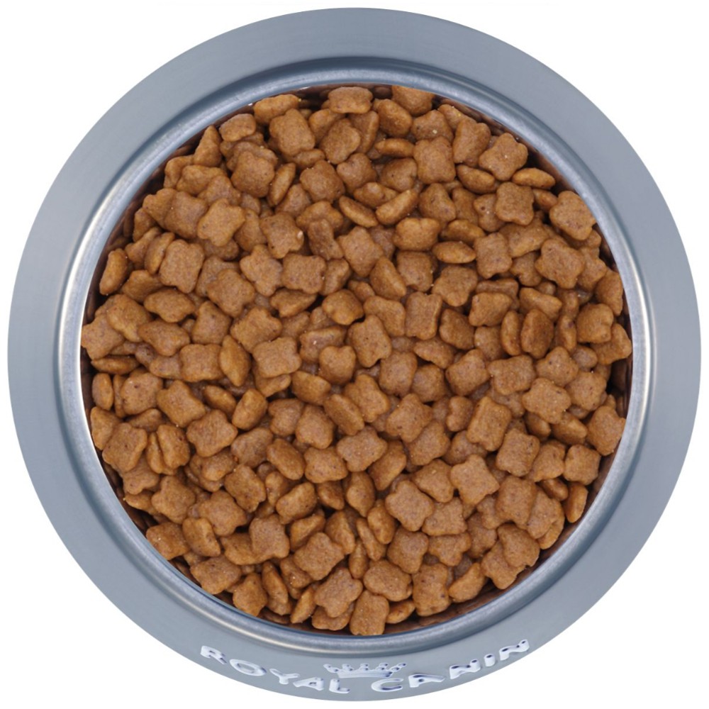 Thức ăn hạt Royal canin Kitten cho mèo con túi chia 1kg và 500gr