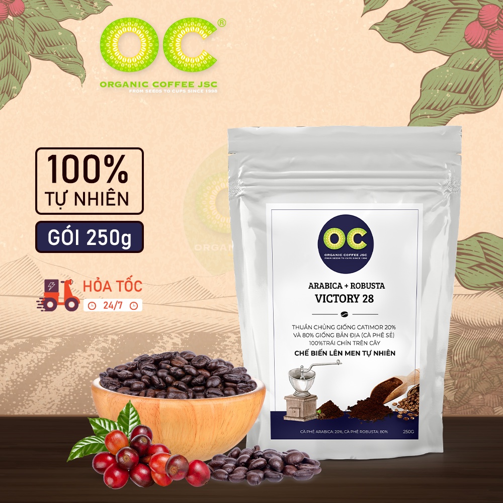 Cà phê rang say nguyên chất Robusta Blend VICTORIA 28,Cafe hữu cơ pha phin và pha máy nguyên chất từ Organic Coffee JSC