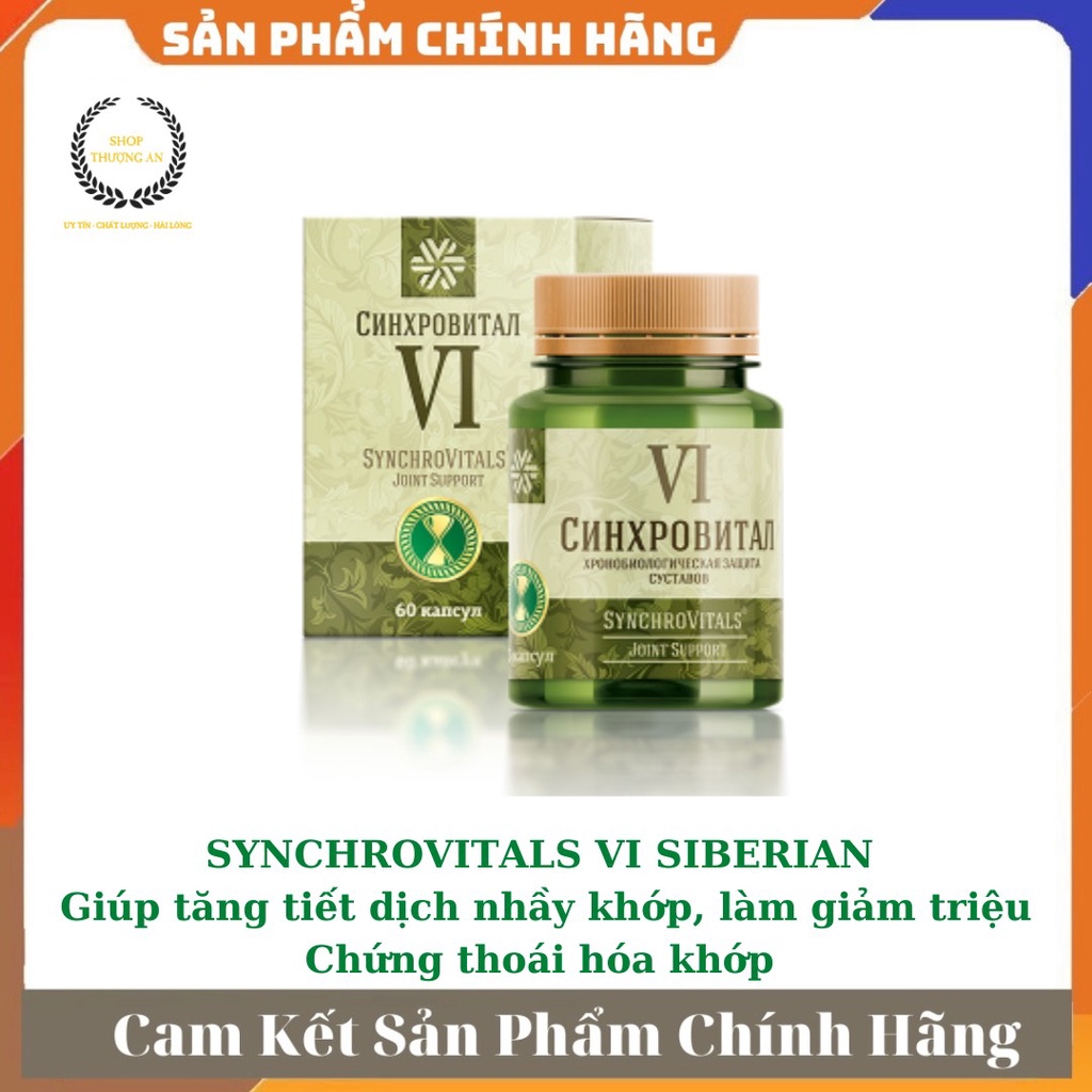 [ GIÁ SỈ ] - Synchrovitals VI Siberian, phục hồi mô sụn, tăng tiết dịch nhầy khớp, thoái hóa, viêm và khô khớp - Hộp 60v