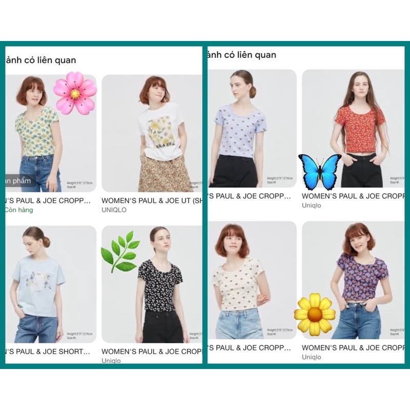 🌹🌿❤️ Áo thun Uniqlo crop top Paul and Joe