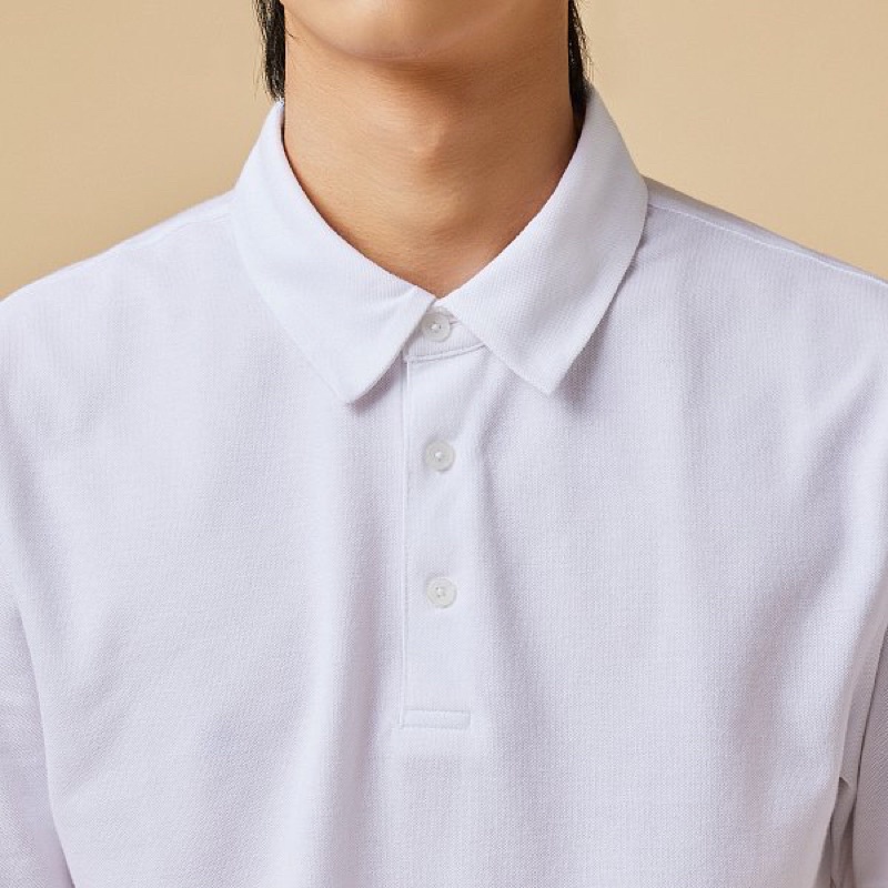 Áo polo JaJu Hàn Quốc chính hãng
