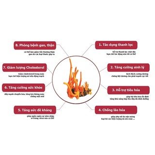 100g Hoa Đông Trùng hạ thảo (loại sấy khô)