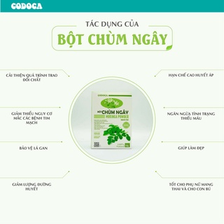 Bột Rau Củ Chùm Ngây Sấy Lạnh, Ăn Dặm Cho Bé [ORGANIC] - CODOCA [MUA 2 TẶNG 1]