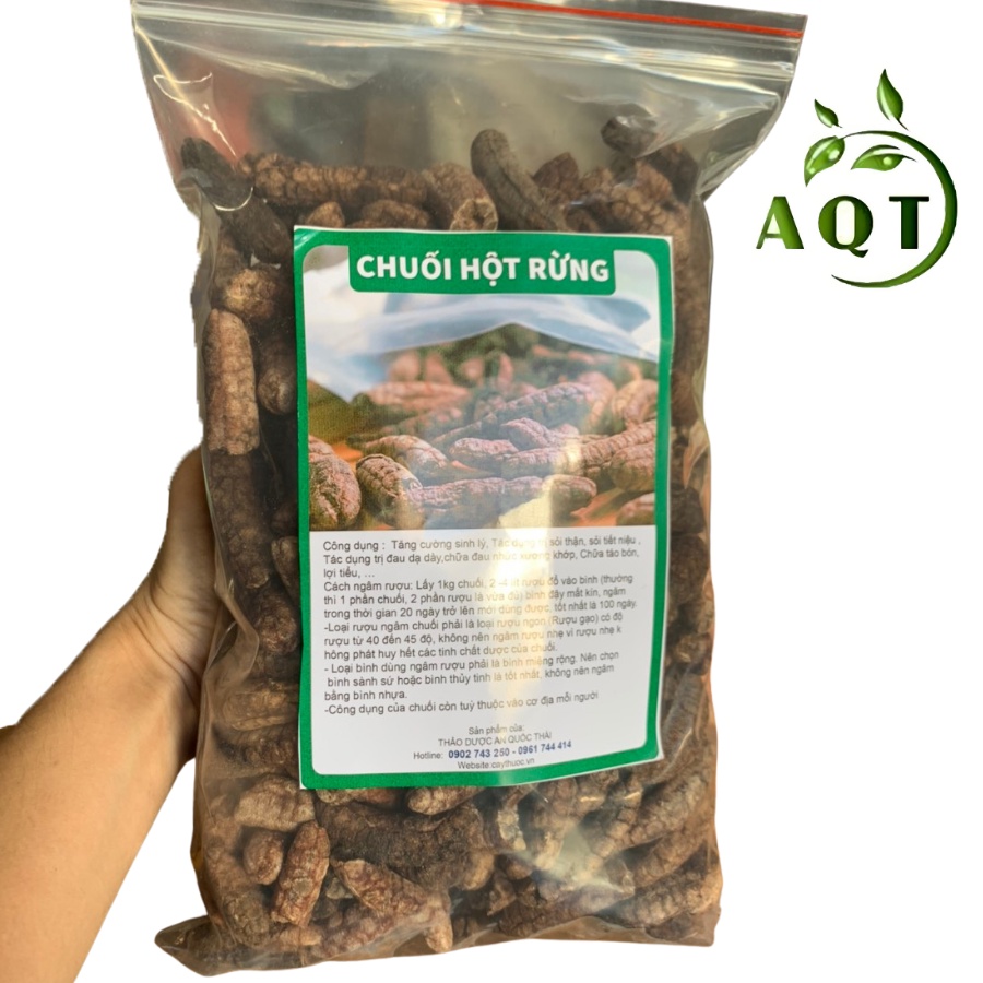 Combo 5 Vị Hỗ Trợ Bệnh Gút, Thang Cho Người Bệnh Gout (Củ Ráy, Chuối Rừng, Dứa Dại, Nở Ngày Đất, Cát Lồi)