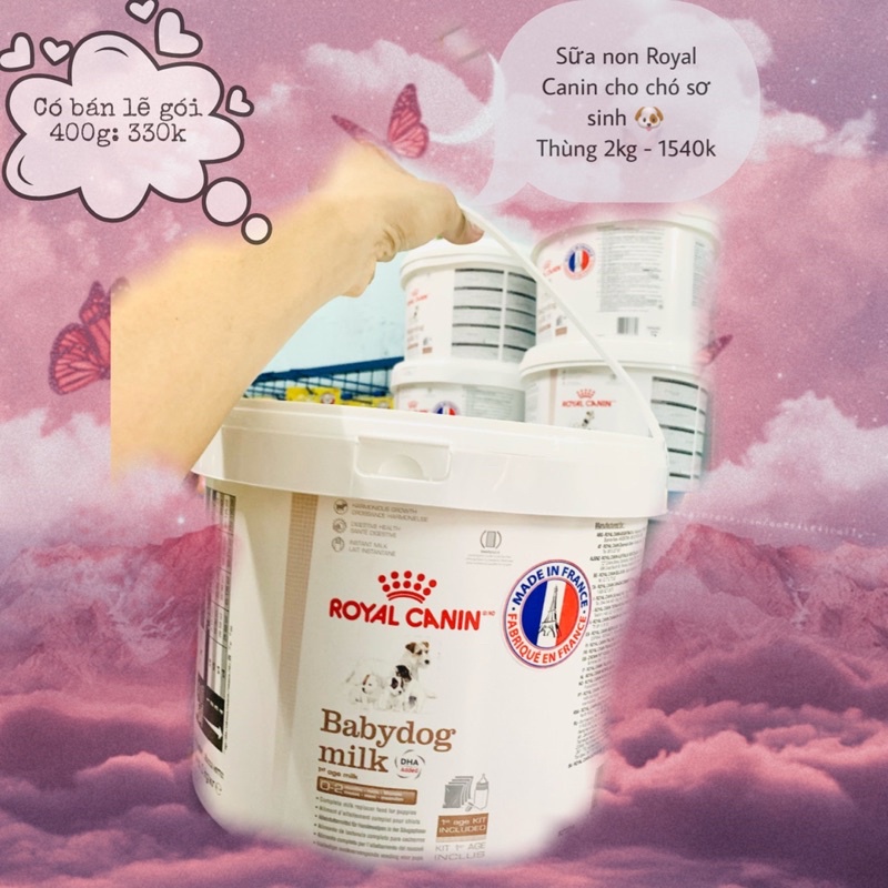 Sữa Royal Canin Baby Dog Milk - Thùng 2kg 🥡 Sữa non cho chó sơ sinh 🐶