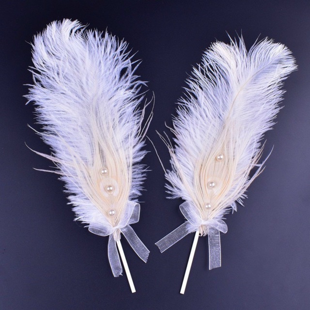 vương miện,lông vũ chụp ảnh nails