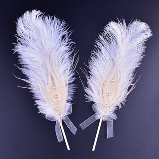 vương miện,lông vũ chụp ảnh nails