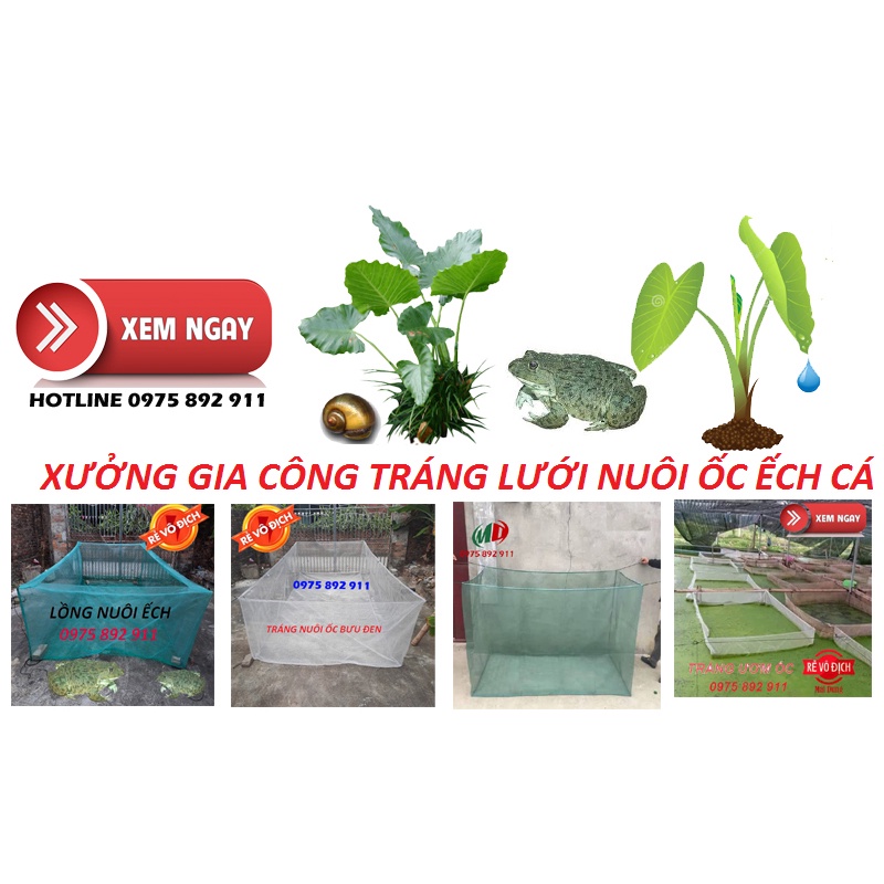 Tráng,vèo nuôi ốc , ếch , cá lươn