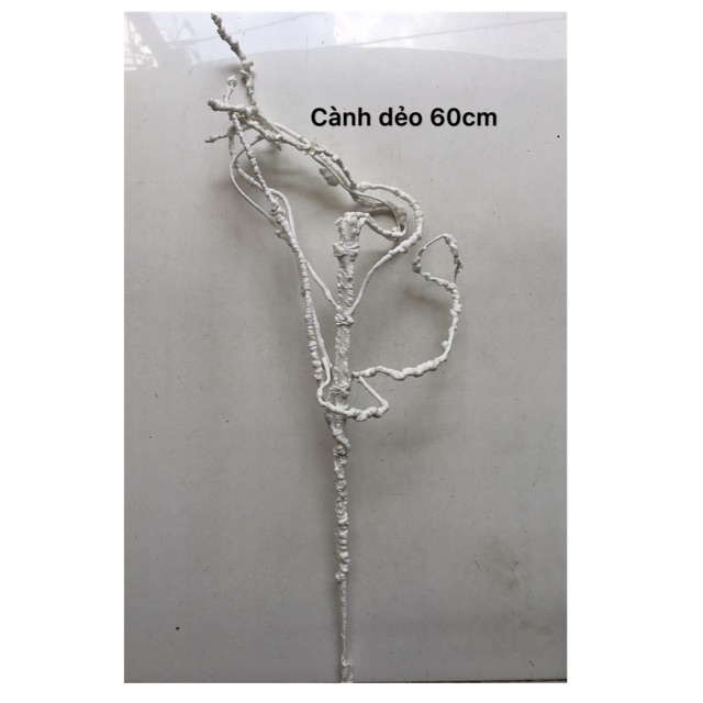 Cành dẻo trang trí