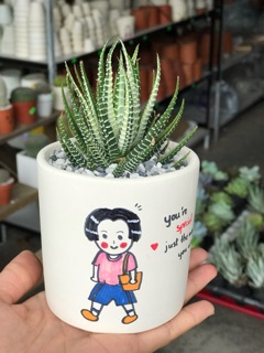 Móng rồng var kèm chậu vẽ