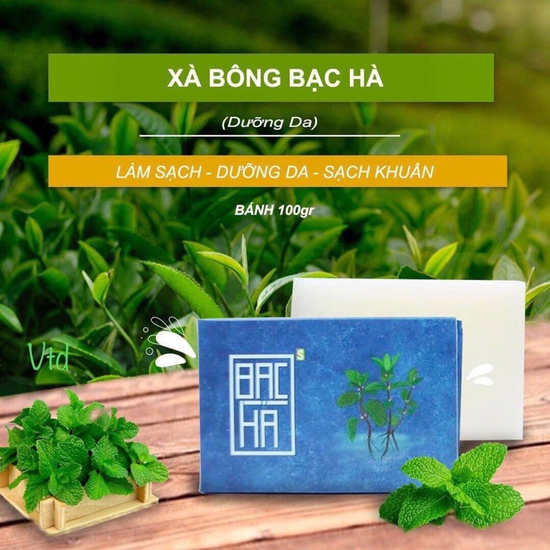 Xà Bông Bạc Hà Ecobabo ☑️FREESHIP☑️ Xà Bông Sạch Khuẩn Mát Lạnh Sảng Khoái