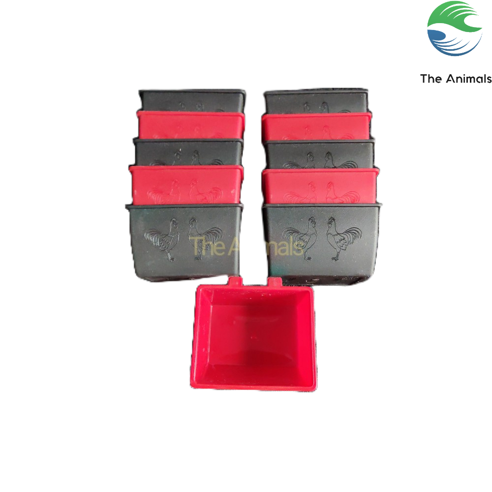 [Combo 10 cái] Máng ăn Thái cho gà, bồ câu, vẹt (size nhỏ)