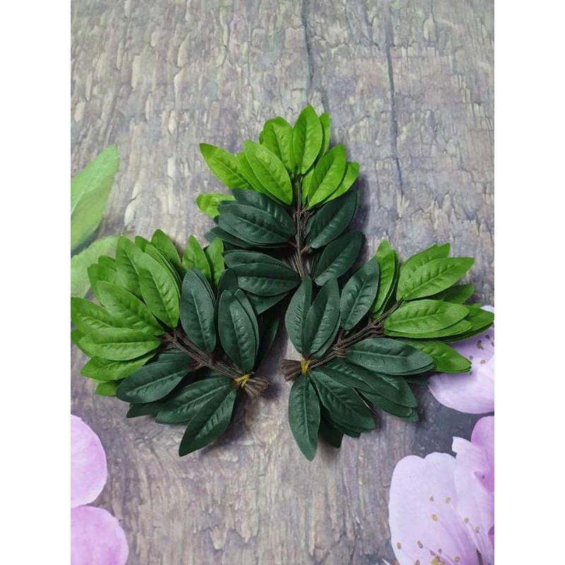 Combo 3 bó Lá bồ công anh