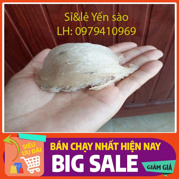 Tổ Yến sào còn lông nguyên chất 1 tainặng 9-10gr tặng Nhíp, táo đỏ, hạt chia, đường phèn