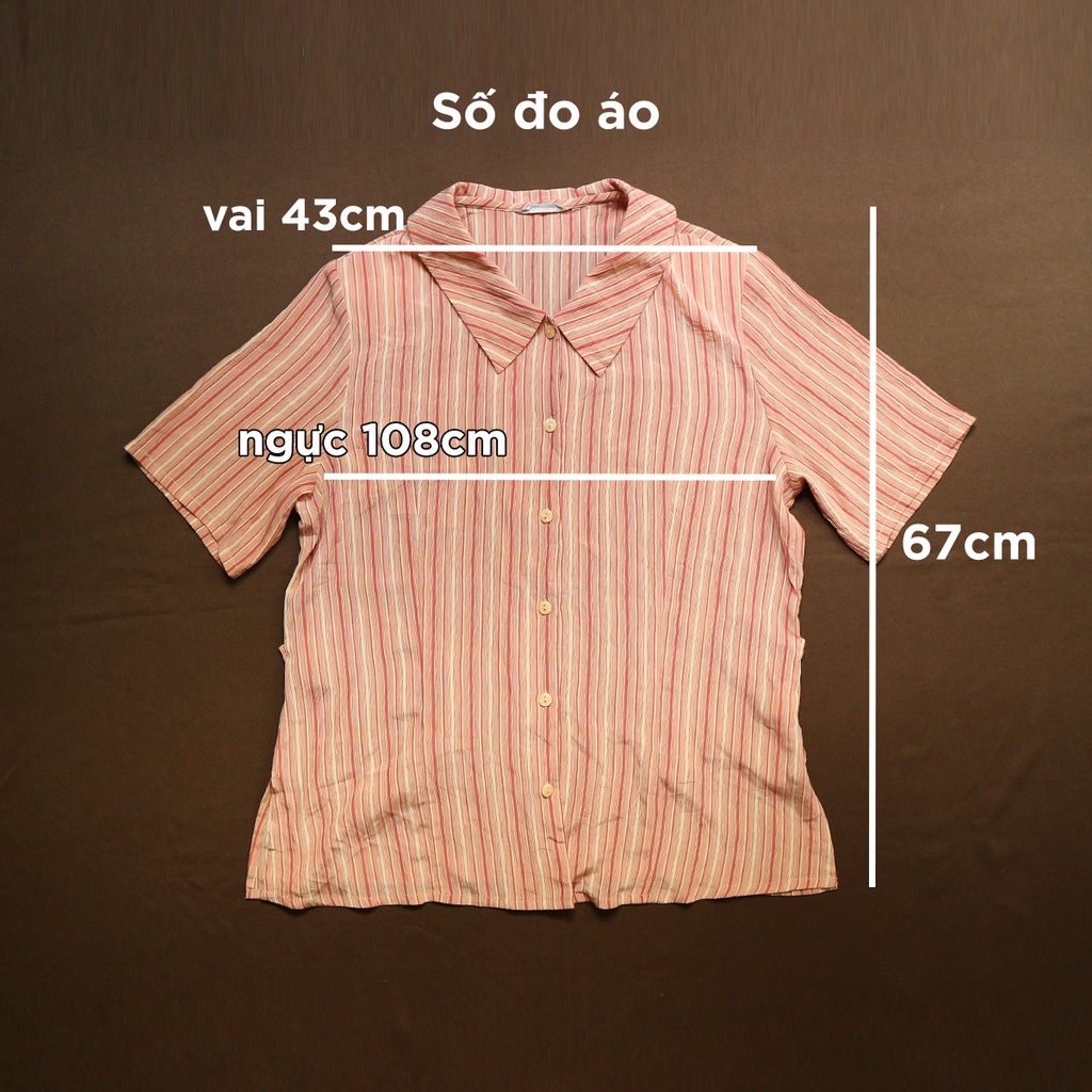 Áo sơ mi vin Nhật sọc cam