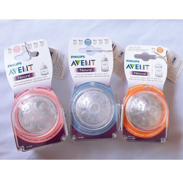 Núm ti Avent/ Núm Ti Phillip Avent