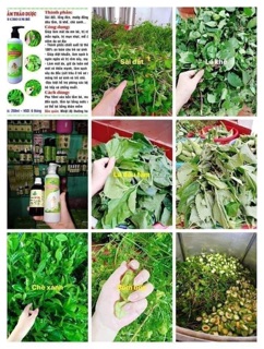Combo Thảo dược tắm bé