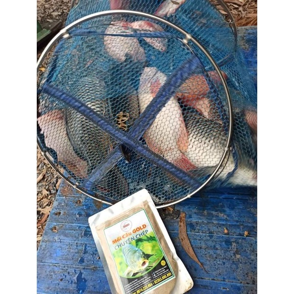 Mồi câu cá chép siêu nhạy ngũ côc