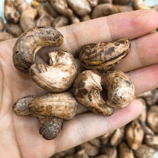 Hạt Điều rang muối- Bình Thuận