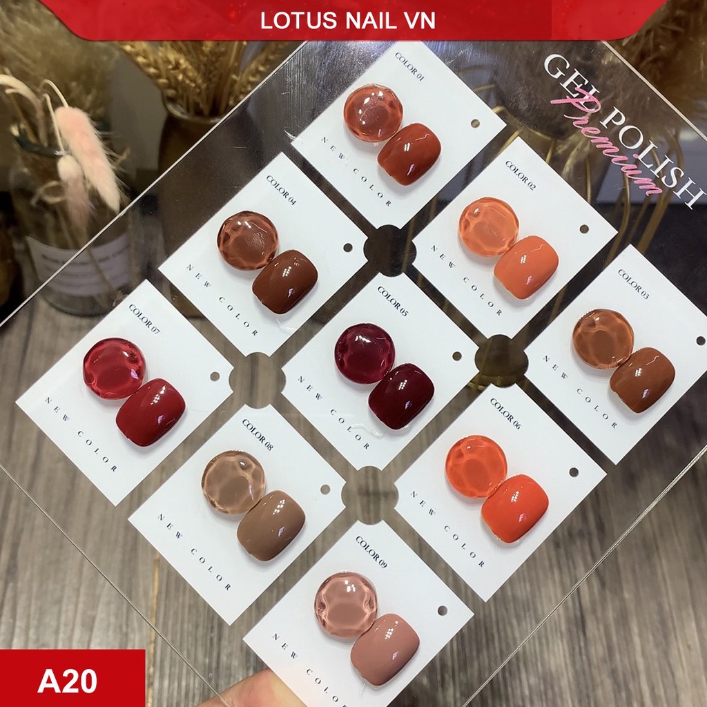 Set sơn gel 9 màu cao cấp Vendeeni mã A20 tặng kèm bảng màu