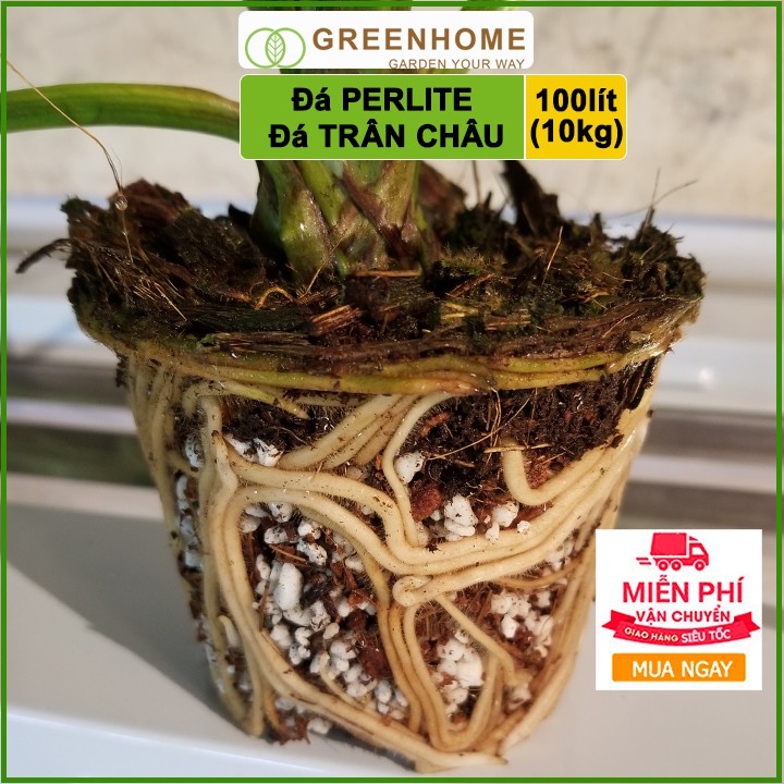 [Freeship 70K] Đá Perlite 100l (10kg), đá trân châu trồng hồng, sen đá, thuỷ canh giàu khoáng chất, tăng độ tơi xốp