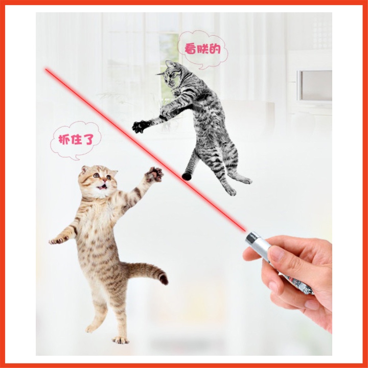 Đèn laser mini trêu mèo vui nhộn