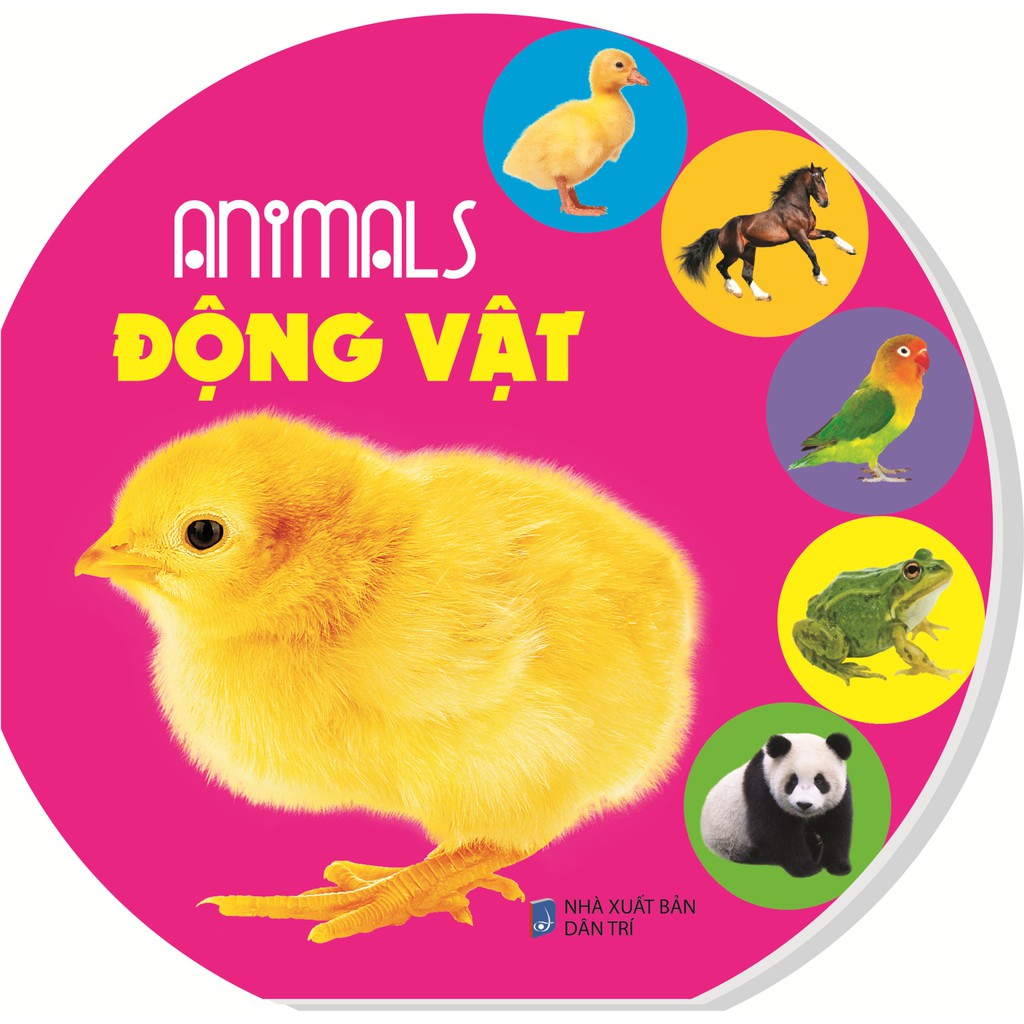 Sách - Lật mở - Animals - Động vật