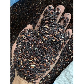 (Mã NSF02P125 giảm 25K) 1kg Nếp cẩm loại 1- hút chân không