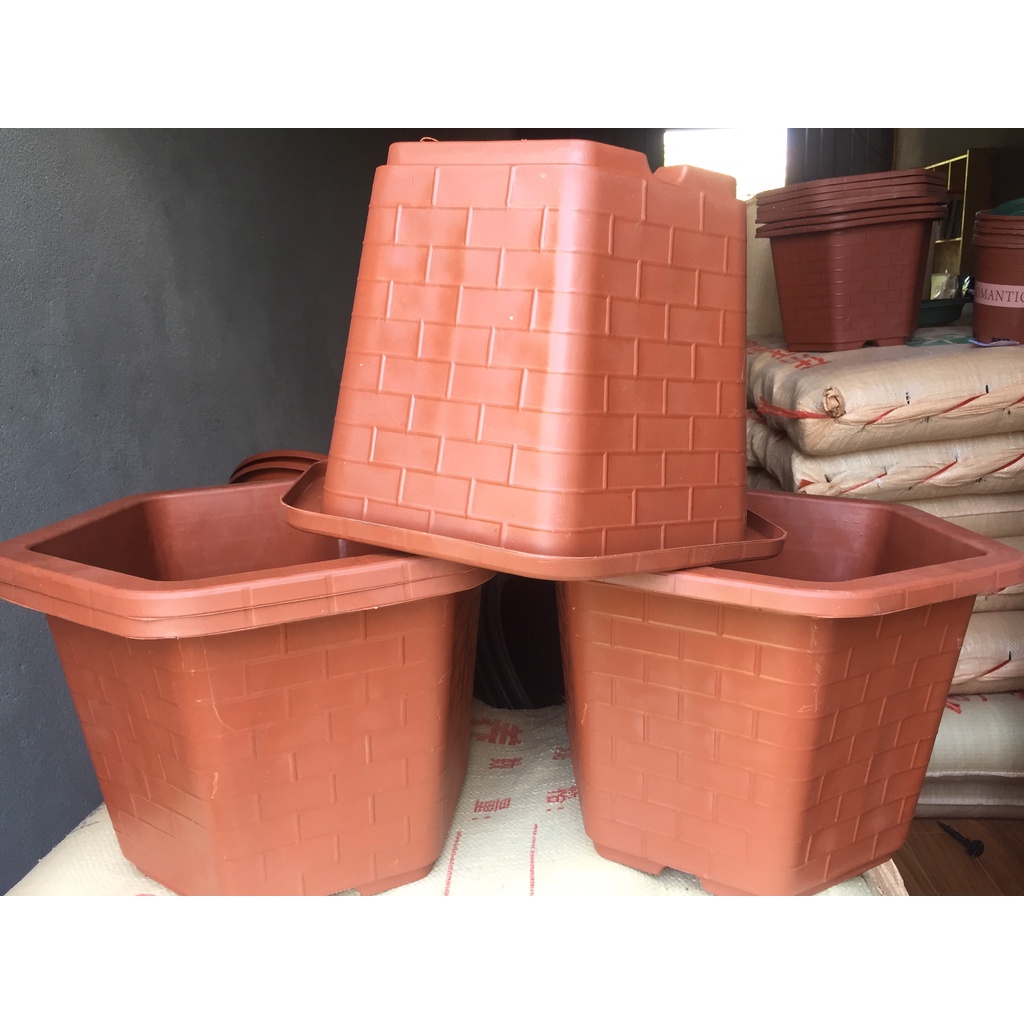 5 CHẬU NHỰA LỤC GIÁC MÃ #460 (DỊCH TRUYỀN CỨU CÂY, KÍCH RỄ MẦM CÂY, BẦU KHAY TÚI ƯƠM..)