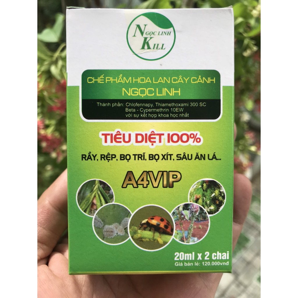 Chế phẩm sinh học Ngọc Linh A4VIP (diệt 100% rầy, rệp, bọ trĩ, bọ xít, sâu ăn lá...)