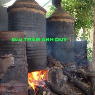 Combo giá sỉ Dầu tràm Huế Anh Duy