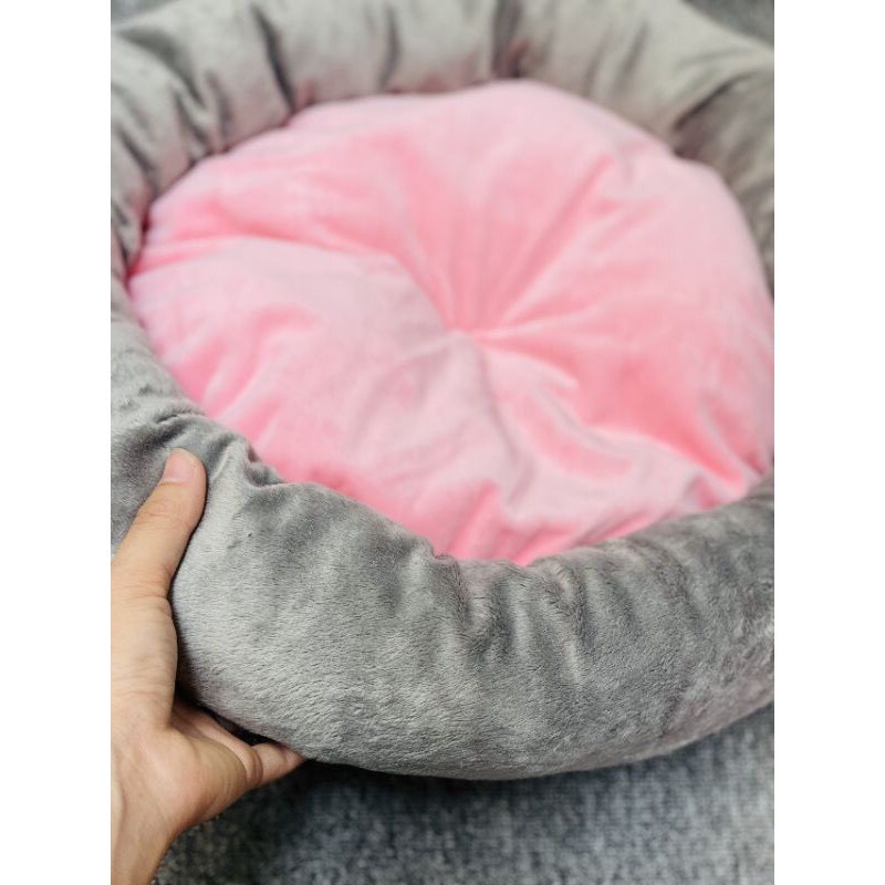 NỆM CHO CHÓ MÈO THÚ CƯNG