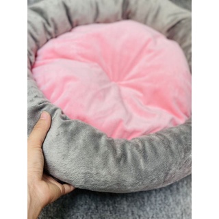 NỆM CHO CHÓ MÈO THÚ CƯNG