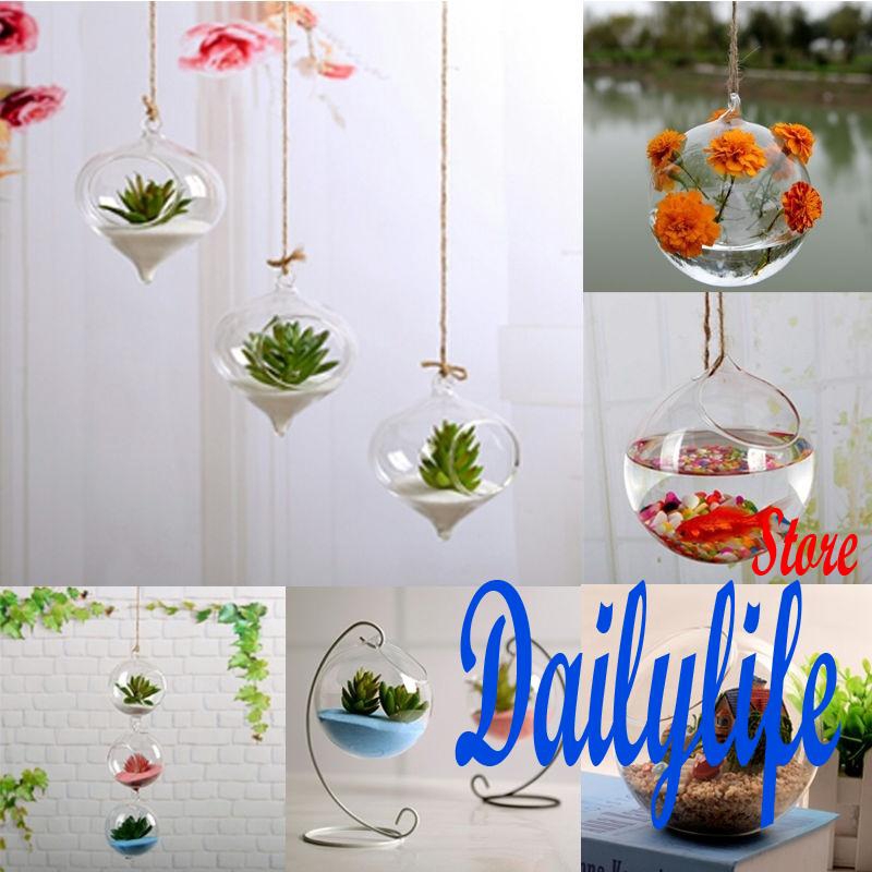 Chậu hoa bằng thủy tinh treo tường