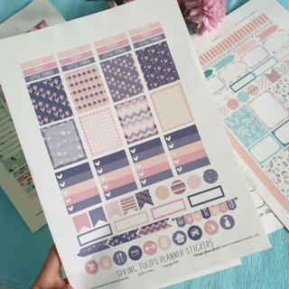 Planner Stickers Hình dán sổ study travel bucklist