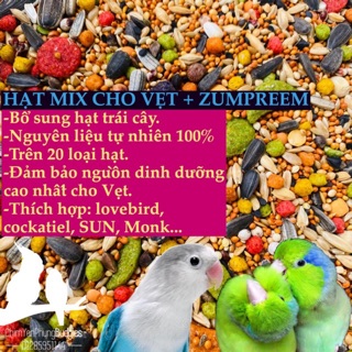 1KG HẠT MIX CHO VẸT CÓ HẠT TRÁI CÂY ZUMPREEM