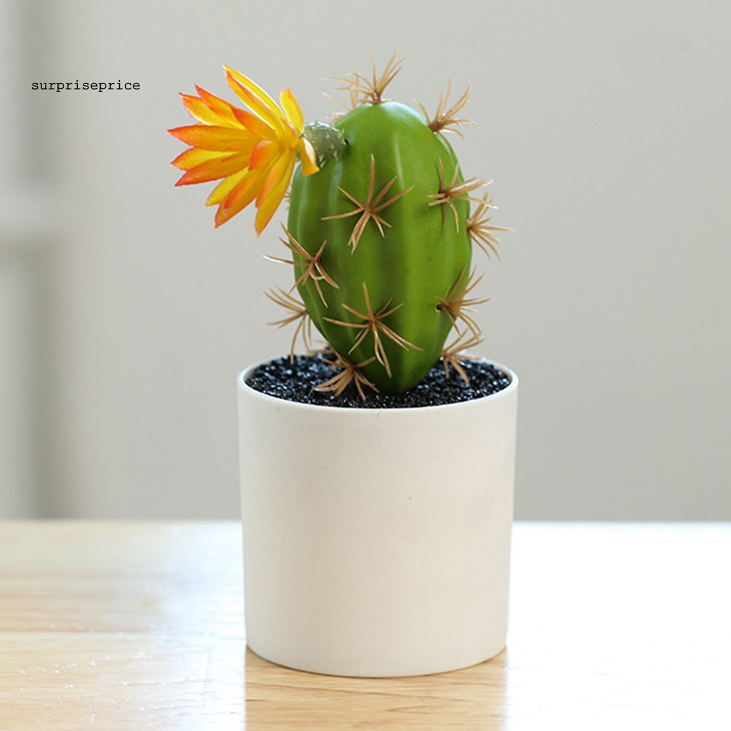 Chậu cây bonsai mini bằng nhựa không phai màu trang trí bàn