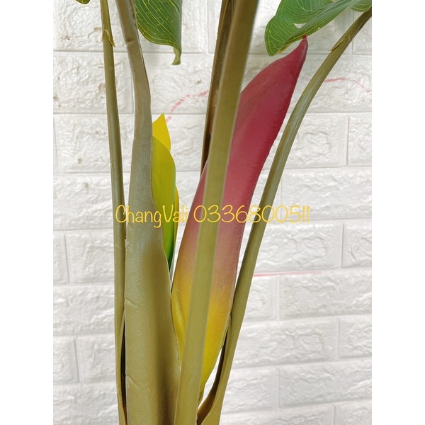 Cây giả-cây trầu bà tay phật-Mai Rùa có hoa ,decor trang trí nội thất