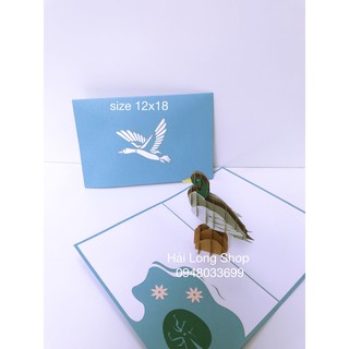 Vịt Trời - Duck Hawk  -  Thiệp 3D