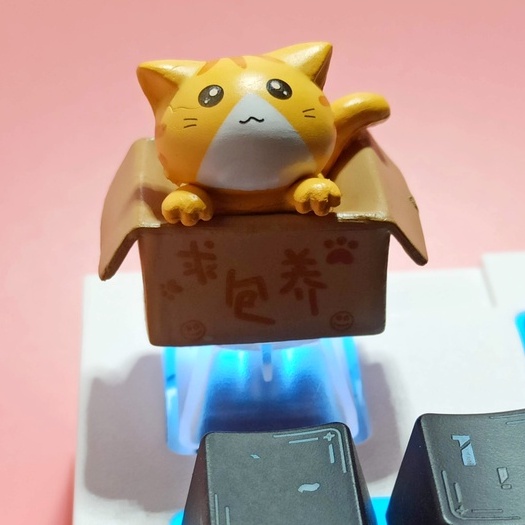 Nút Bàn Phím Cơ Bằng ABS In Hình Mèo Dễ Thương Có Đèn Nền Cho ESC kaih cherry MX