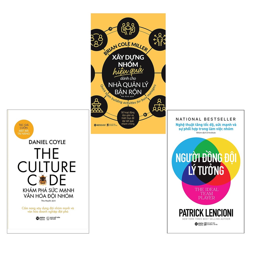 Sách - Combo Xây Dựng Đội Nhóm: The Culture Code + Xây dựng nhóm hiệu quả dành cho nhà quản lý + Người đồng đội lý tưởng
