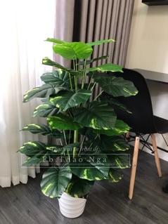 Cây trầu bà giả 1m