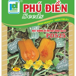 Hạt giống bí đỏ hạt đậu PD525