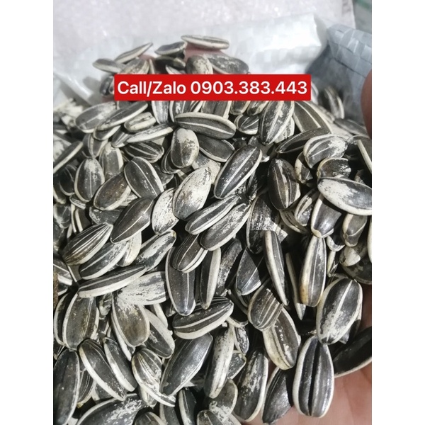 1KG Hạt Hướng Dương Size Trung Dành Cho Vẹt Trung Và Lớn