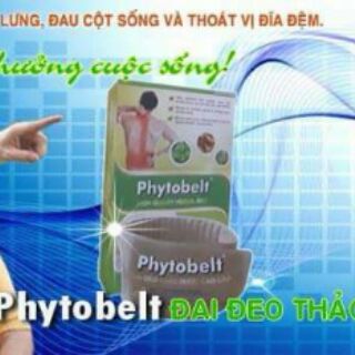 Đai đeo thảo dược trị liệu đau lưng xương khớp vai gáy giảm cân cao cấp PhytoBelt