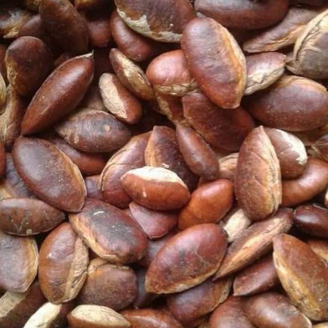 Hạt kơ Nia 500gr loại Đặc Biệt đặc sản núi rừng Tây Nguyên