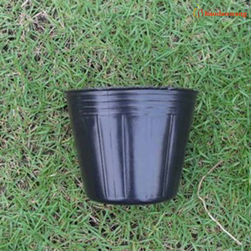 Bộ 50 chậu nhựa ươm mầm trồng cây chất lượng