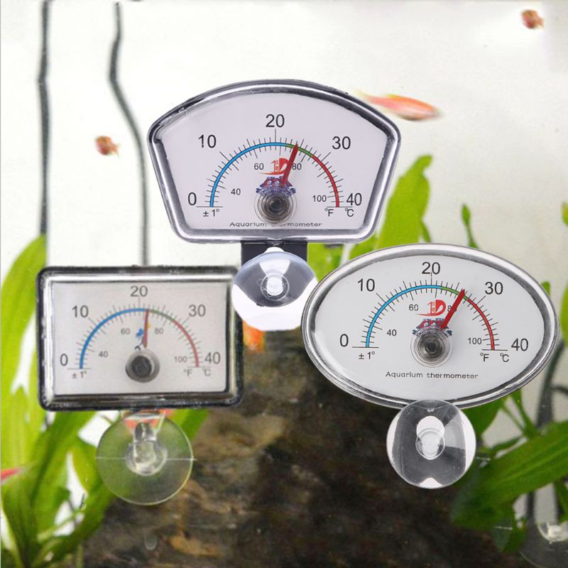 Đồng hồ đo nhiệt độ bể cá kiểng có giác hút tiện dụng