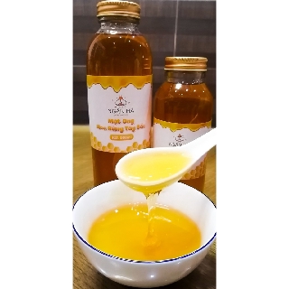 Mật ong hoa xuyến chi hà giang